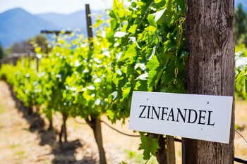 Zinfandel Weekend 